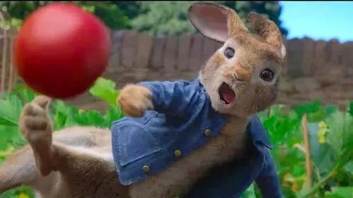 比得兔的故事书适合多大孩子看,比得兔儿童文学