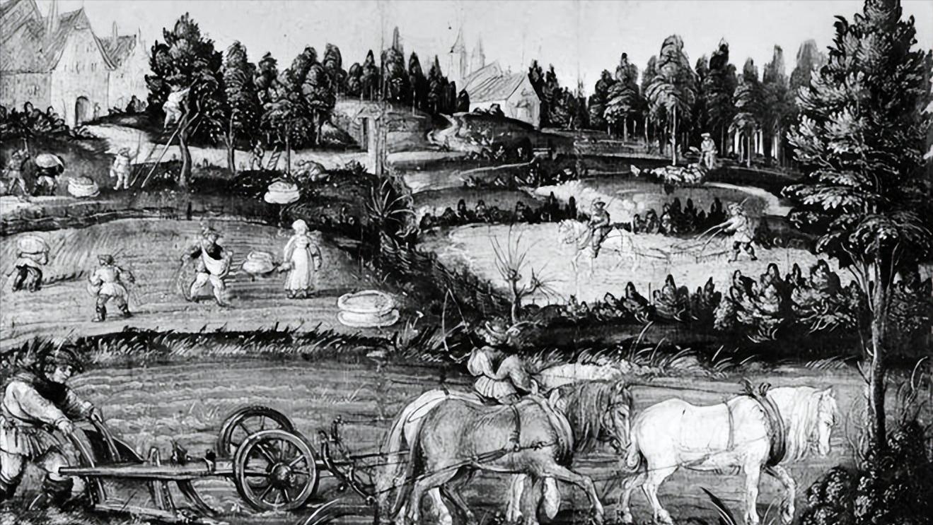 怎么确立了西欧的封君封臣制度,西欧封君封臣制对西欧政治的影响