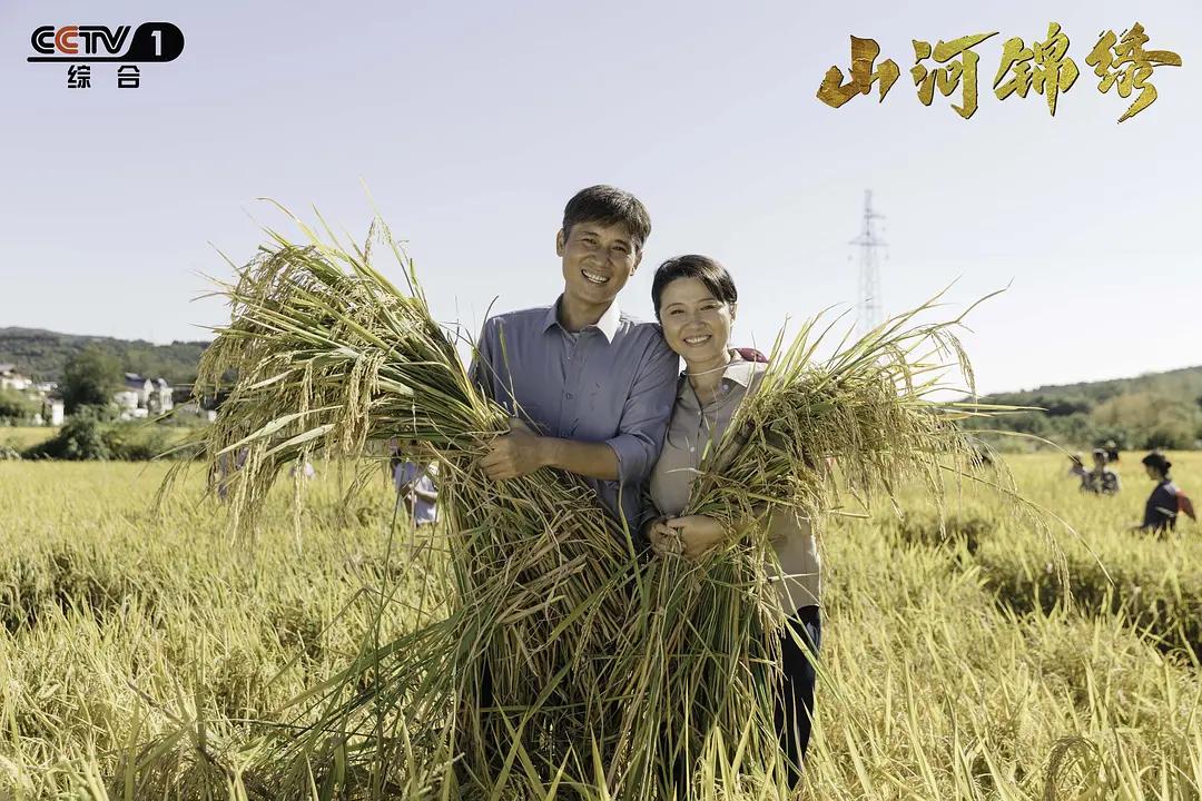 县委大院完结,电视剧山河锦绣扶贫合集