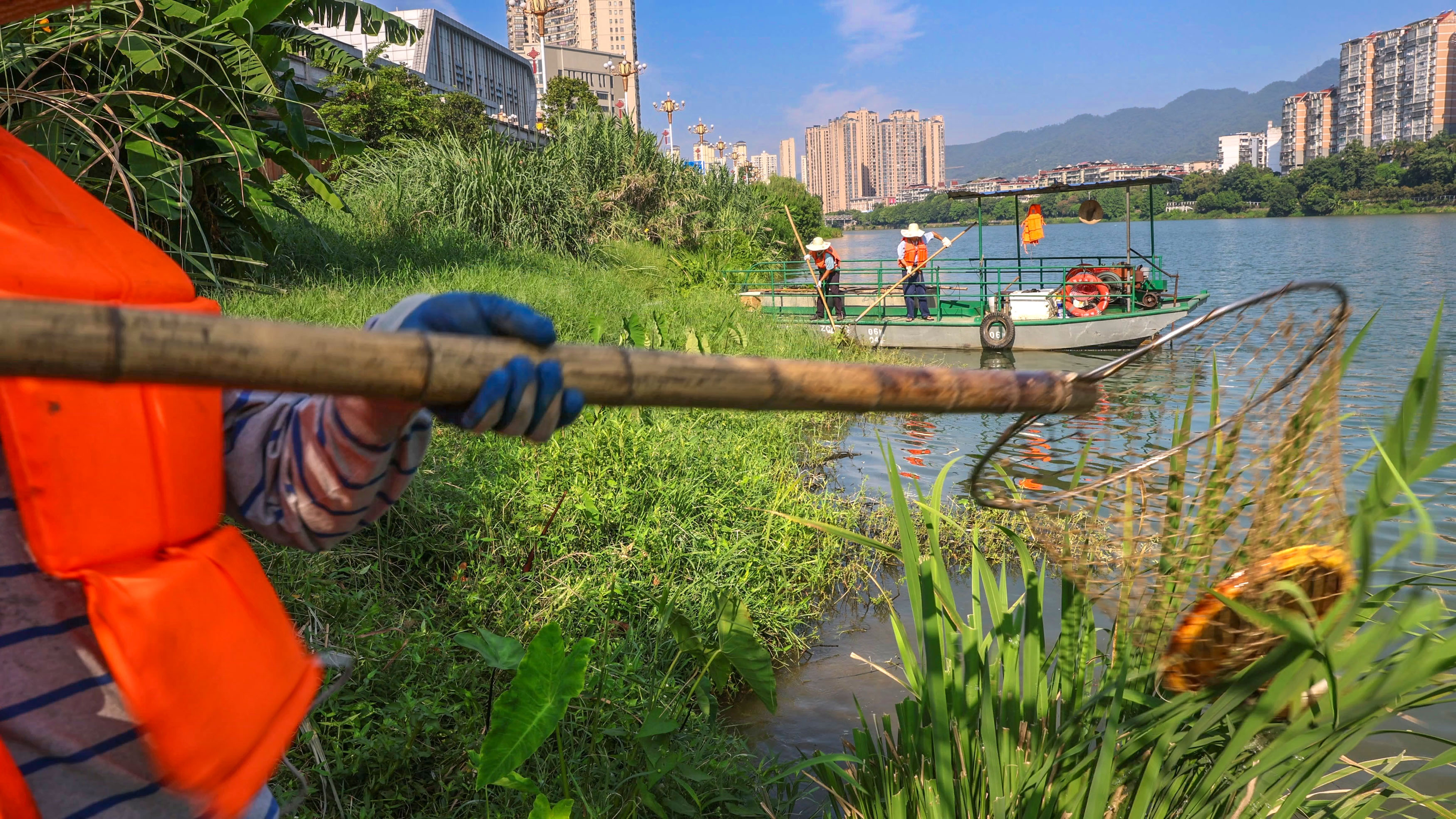 三元：烈日下的沙溪河“清道夫”汗水浸透衣衫，守护“一汪碧水”