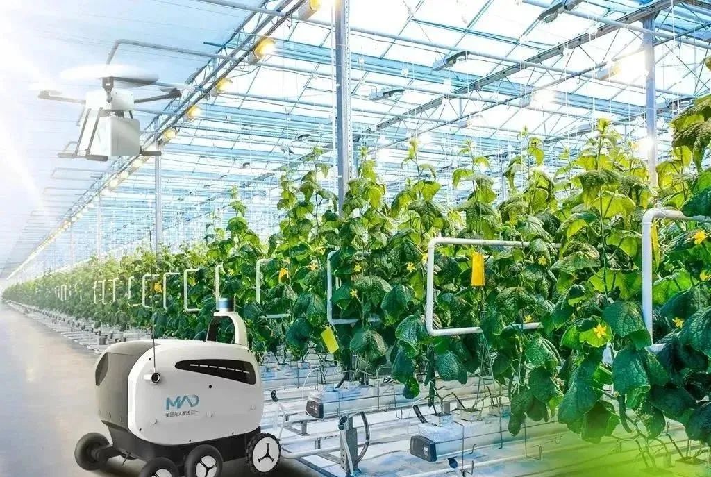 农业主题公园怎么打造,世界最成功的农业主题公园