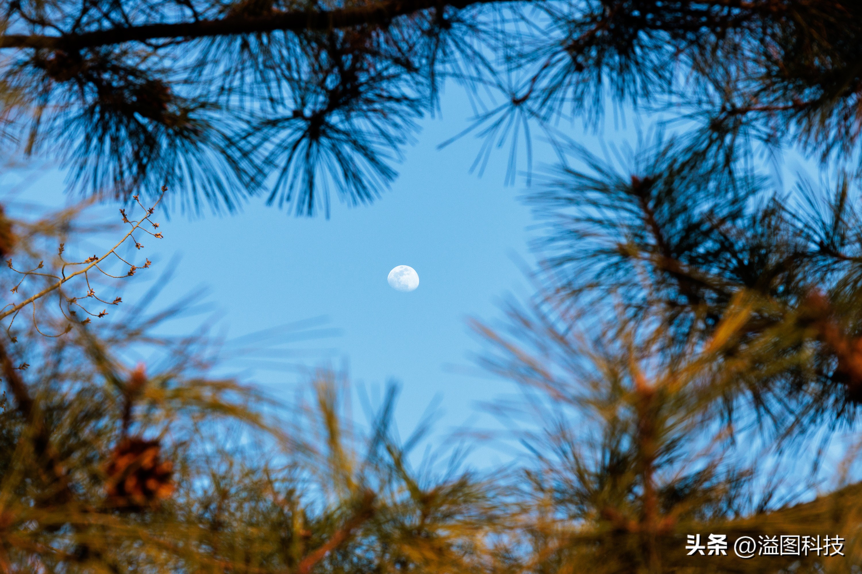 佳能rf-s55-210mm,和儿子感受大自然的气息和美景