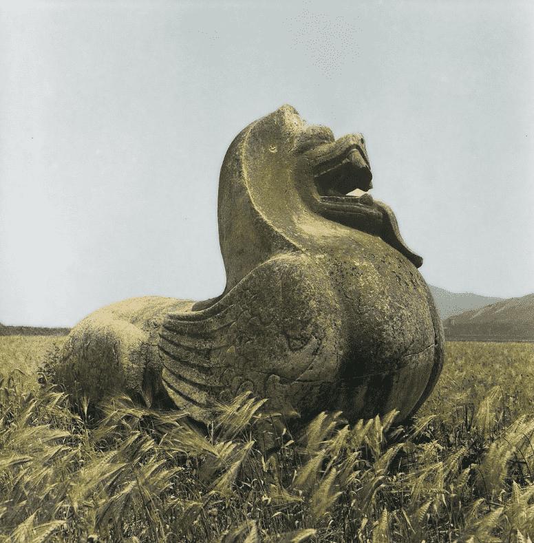 珍贵照片侵华暴行,珍贵影像民国日军杀害南京百姓