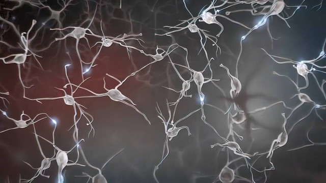 python量化股票指标,python量化交易筹码分布