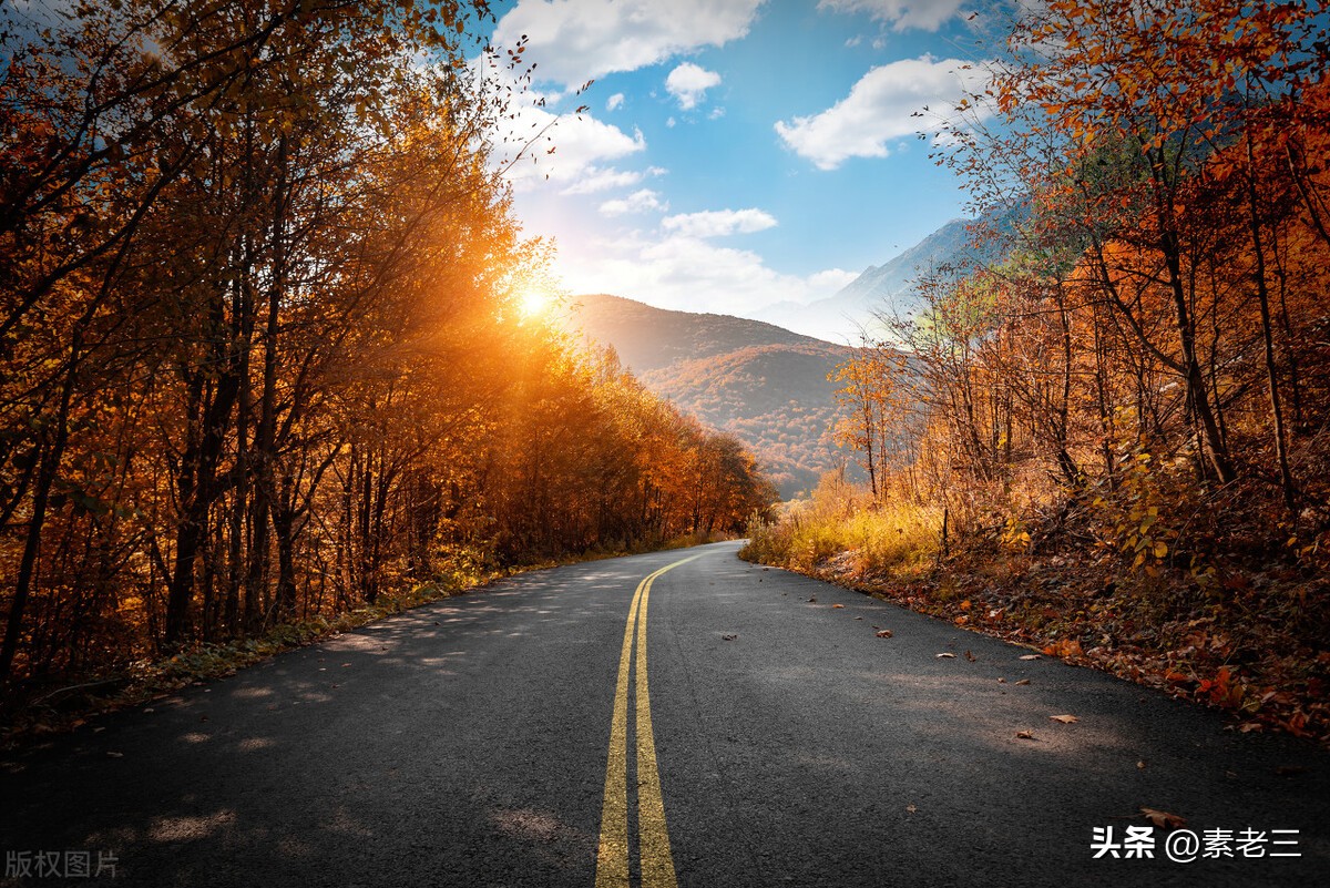 女作家去做保姆463,女作家去做保姆584