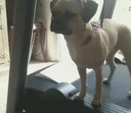 外卖差评快乐源泉,外卖差评内容全是好评