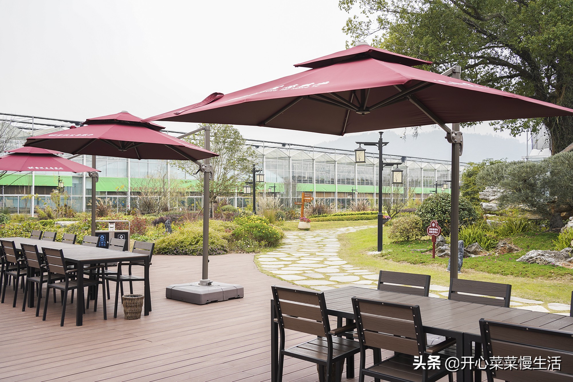 广东兰花第一县,中国最漂亮的兰花小镇