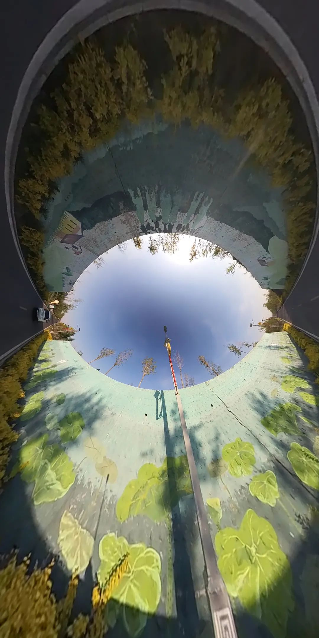 十二师各景点图片,十二师头屯河谷森林公园景区