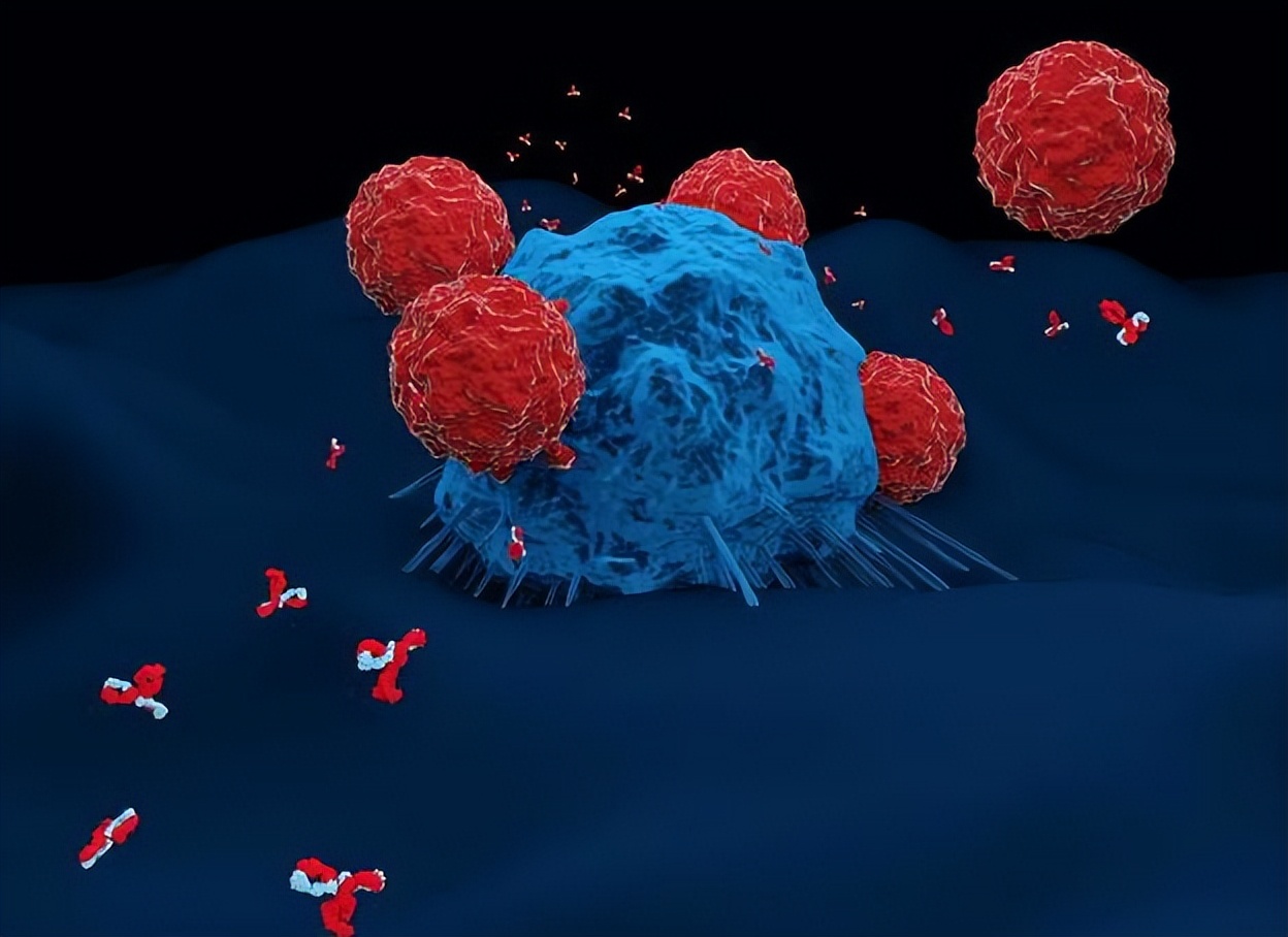 发现癌症不进行治疗会有什么后果,发现了癌症不化疗行不行