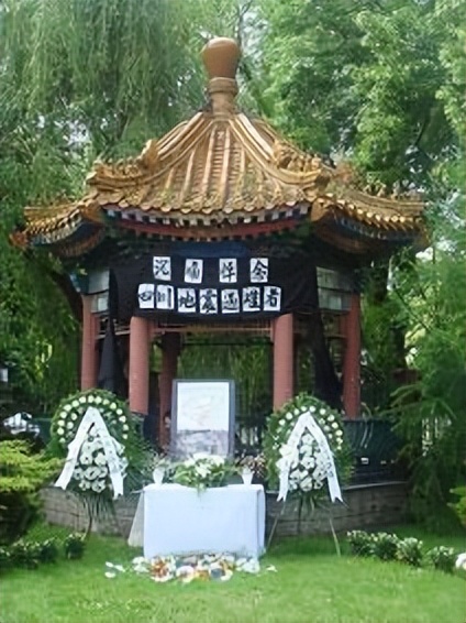 十年前汶川地震,十五年前汶川地震