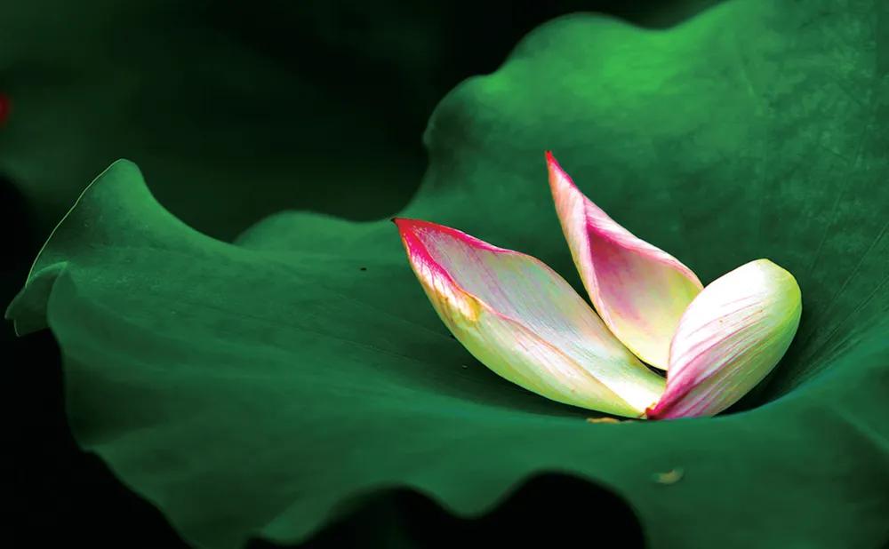 开小吃店需要学会哪些菜品,想开小吃餐饮店有什么推荐