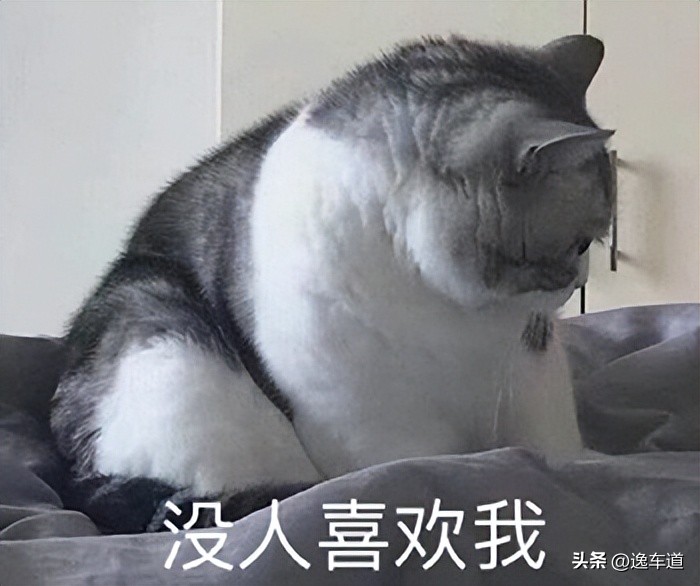 8万以内的二手瓦罐车,8万左右斯柯达二手车