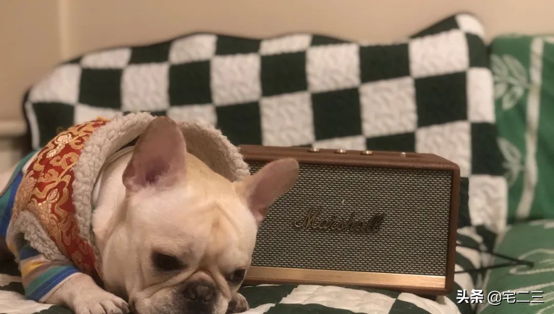 迎接2022年，9位生活达人私藏物公开