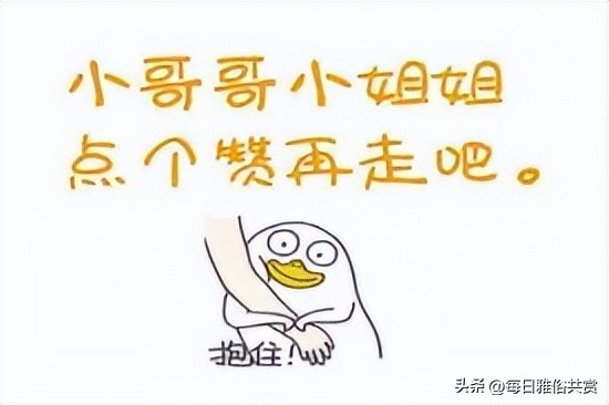 盐选神回复巧妙避开所有重点,盐选神回复