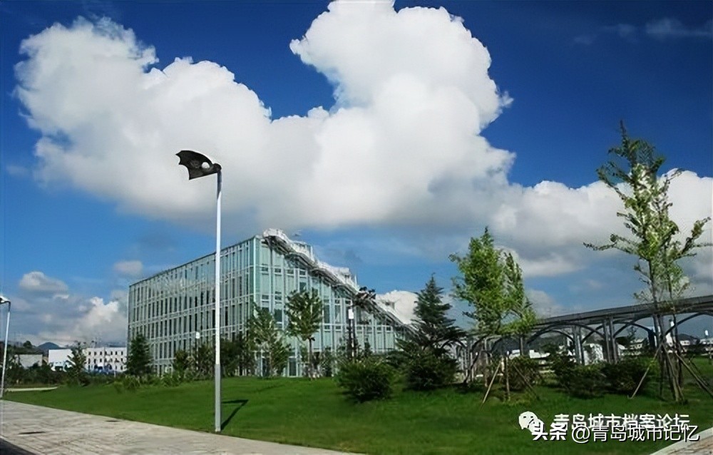 青岛卷烟厂百年简史「1919—2021」（下篇）