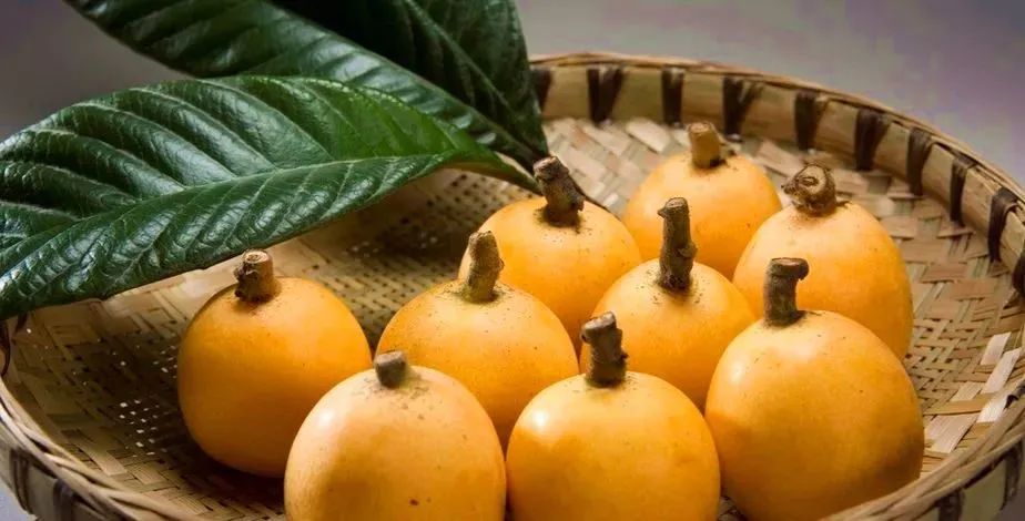 这5种水果浑身都是宝,这种水果全身都是宝