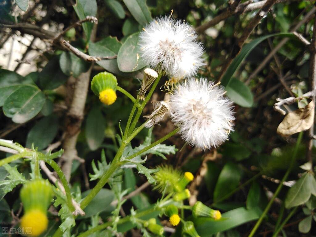 72岁老人血管堵塞需要手术吗,70岁血管狭窄怎么办