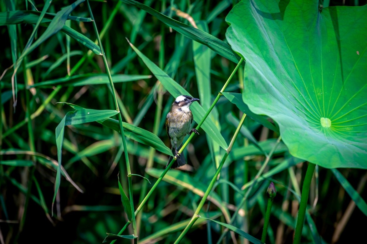 持续读写再升级至誉NITRO系列CFexpressTypeB存储卡评测