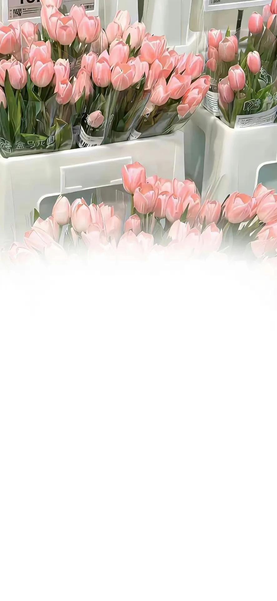 超好看的聊天背景图带文字,老公专用聊天背景图