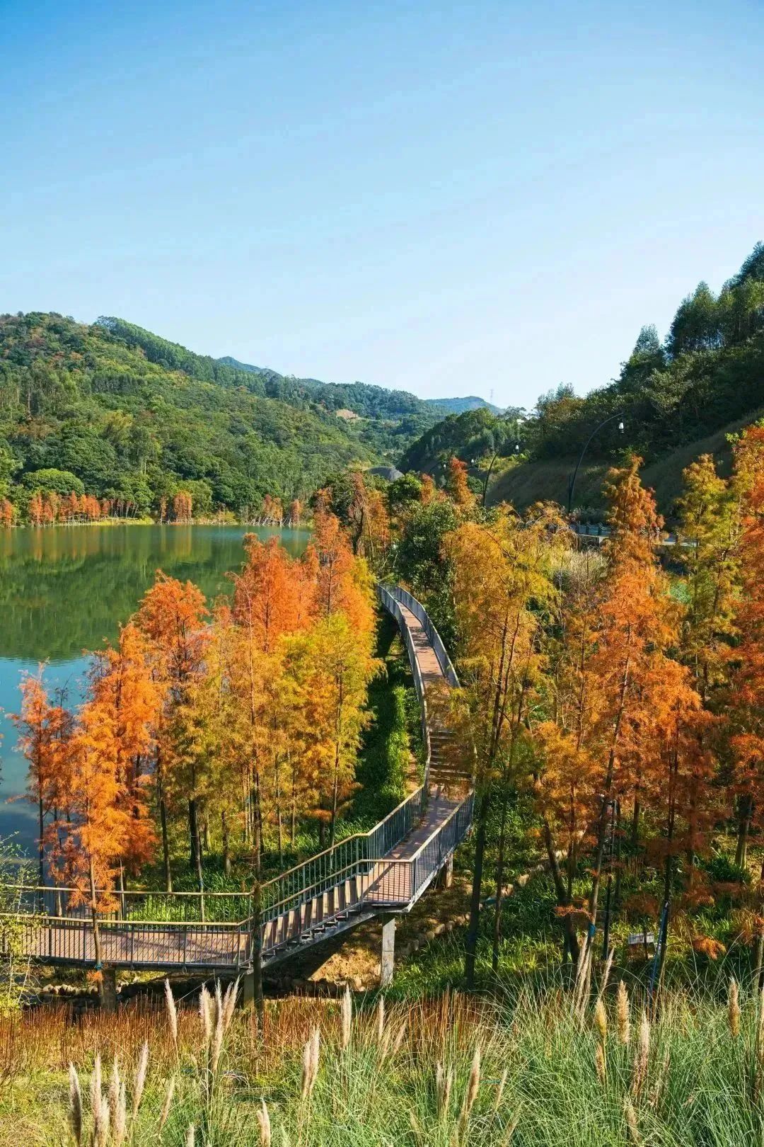 从化天人山水二日游,从化天人山水一日游攻略