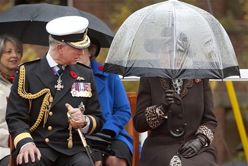 卡米拉气质逆袭不输戴安娜,卡米拉微笑回应凯特