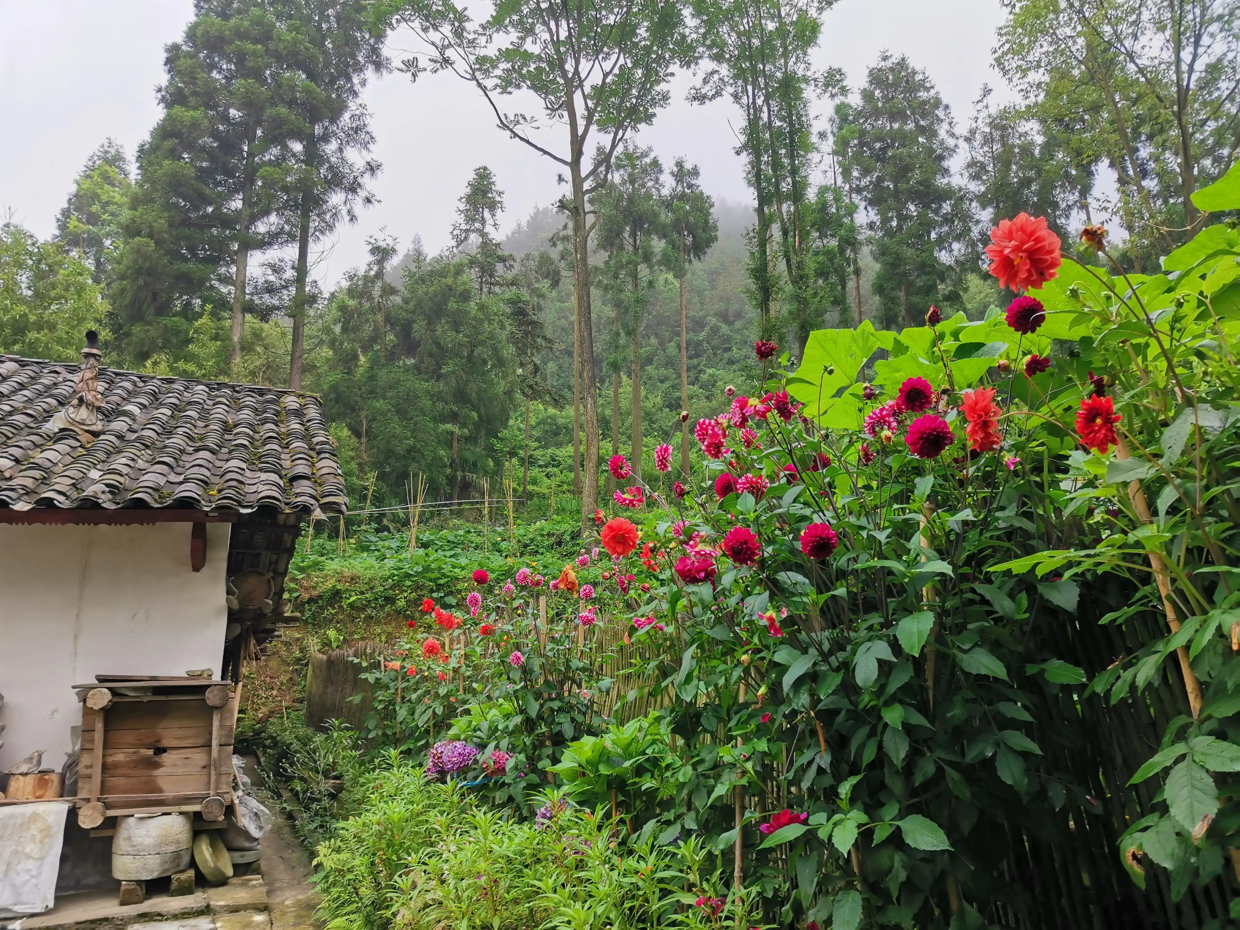 去贵州桐梓避暑哪里最好,桐梓包吃住避暑民宿