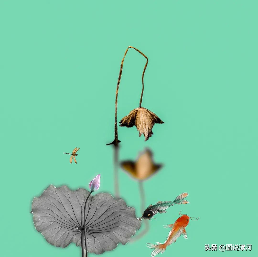 摄影比赛获奖名单公示,摄影大赛颁奖活动暨摄影展美篇