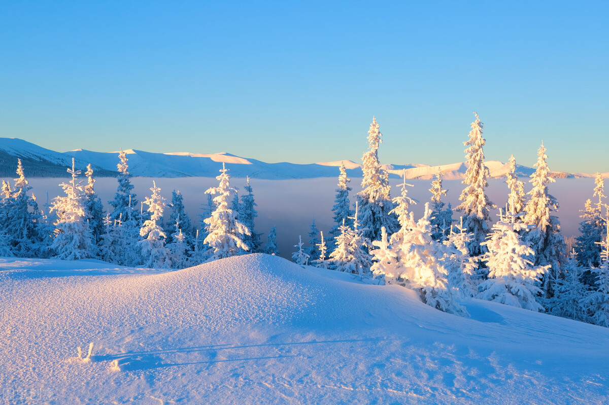 洛阳市老城区2022年旧区改造项目,洛阳市2022年度重点规划项目名单