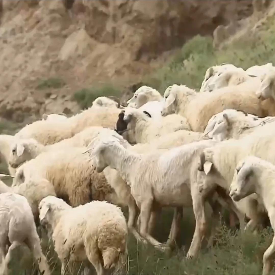 小伙承包80亩土地变成基本农田,农村小伙承包300亩地