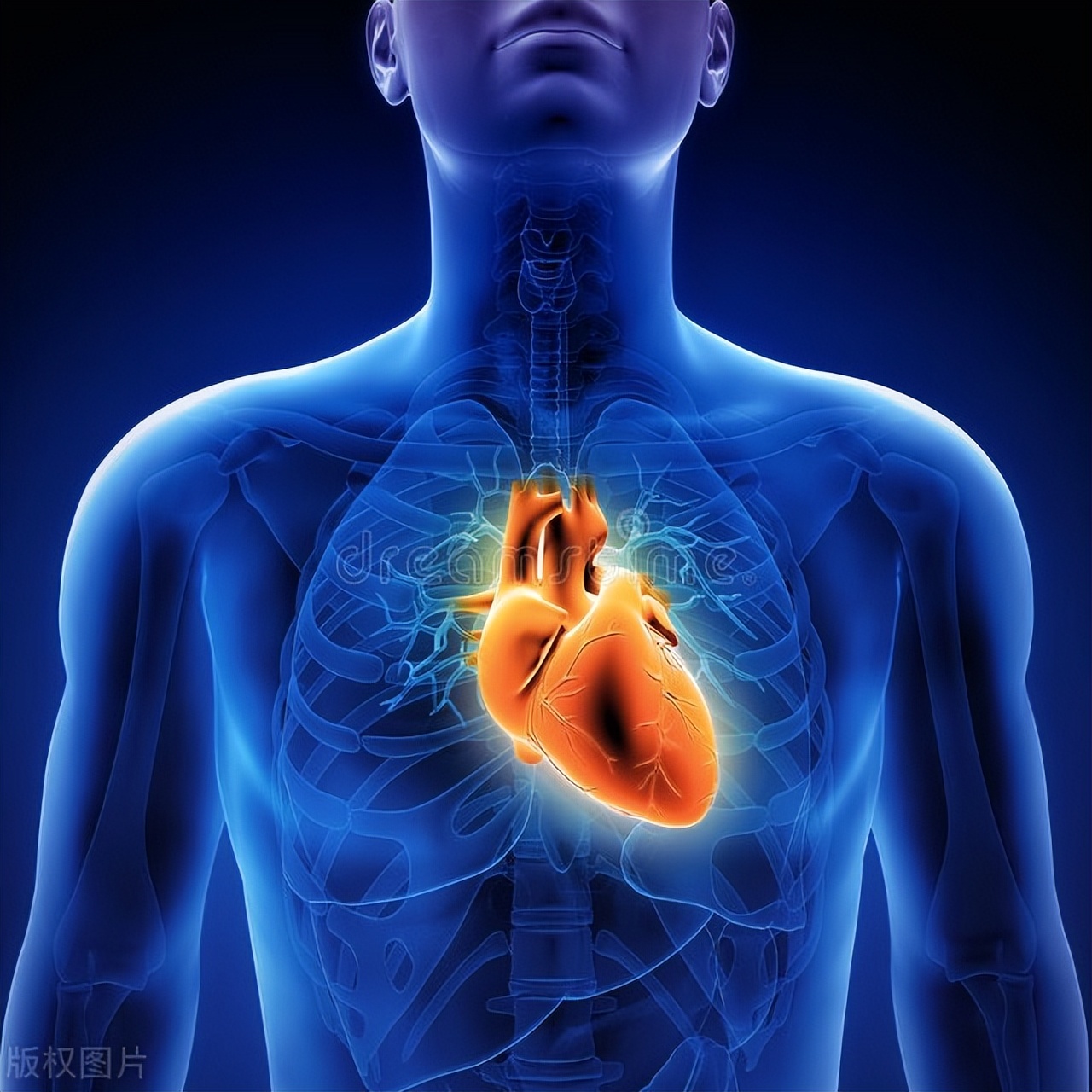 人老了怎么抗衰,人老了身体机能衰退怎么办