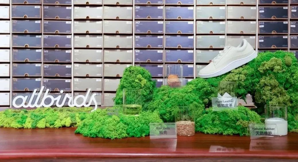 百丽联名,百丽合作女鞋