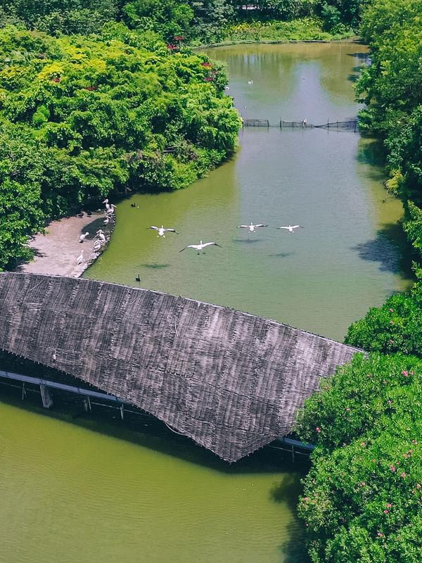 湾区光影魅力,南沙湾区超美风景线