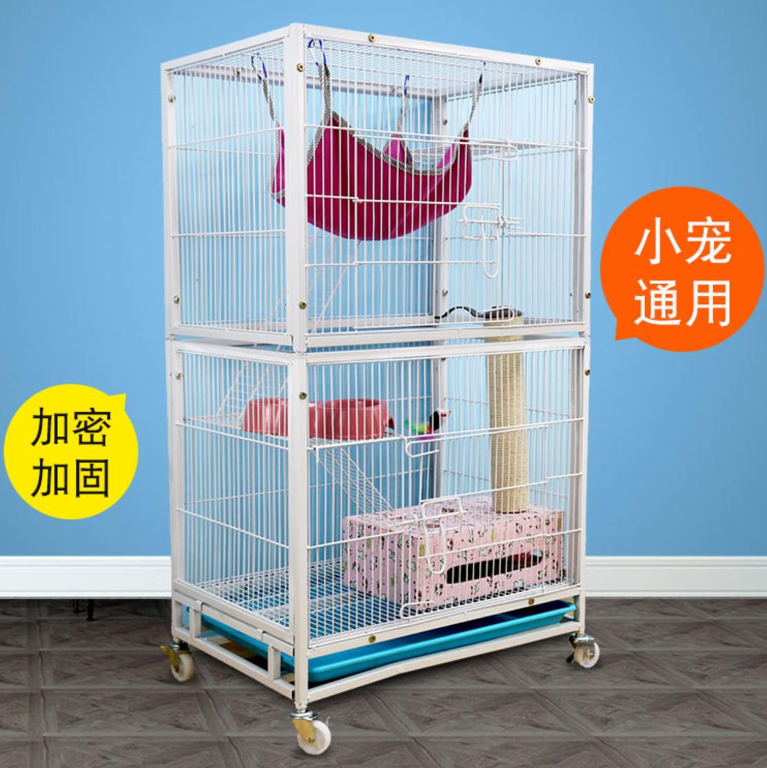 适合新手养的宠物龙猫,养一只可爱的龙猫