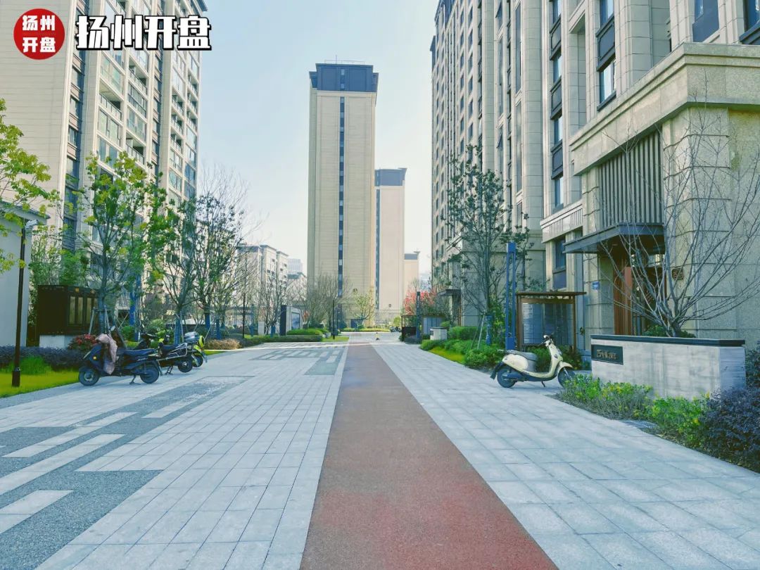 最高涨幅5000元,最高涨近3000%