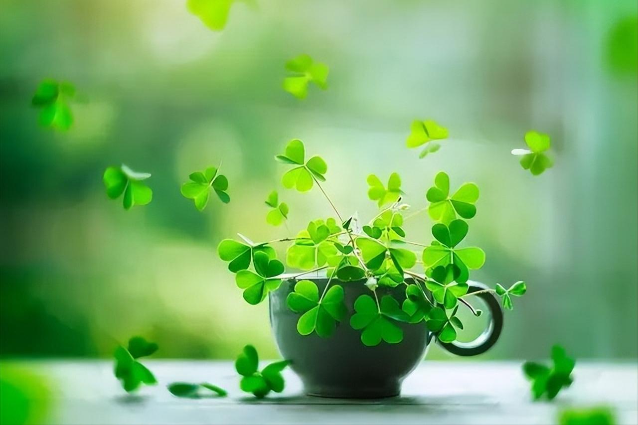 相遇不如不遇的诗句,关于难得的人生际遇的古诗词