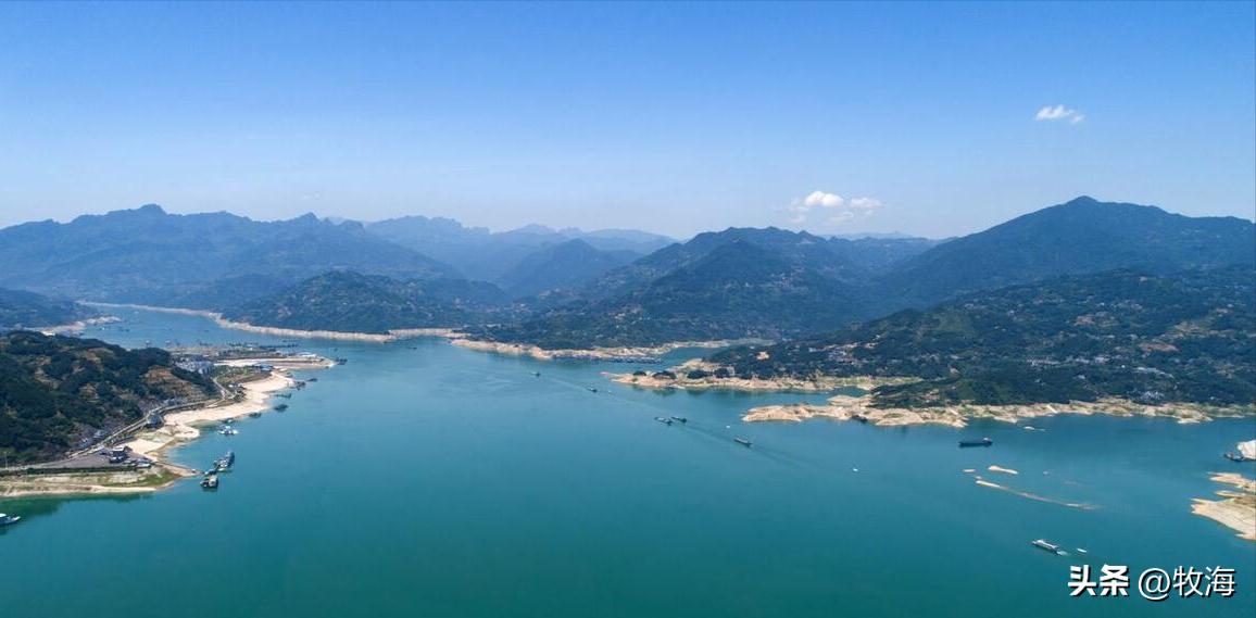 宜昌水位下降，大量刁子鱼搁浅岸边，长江护渔：标志性鱼群出现