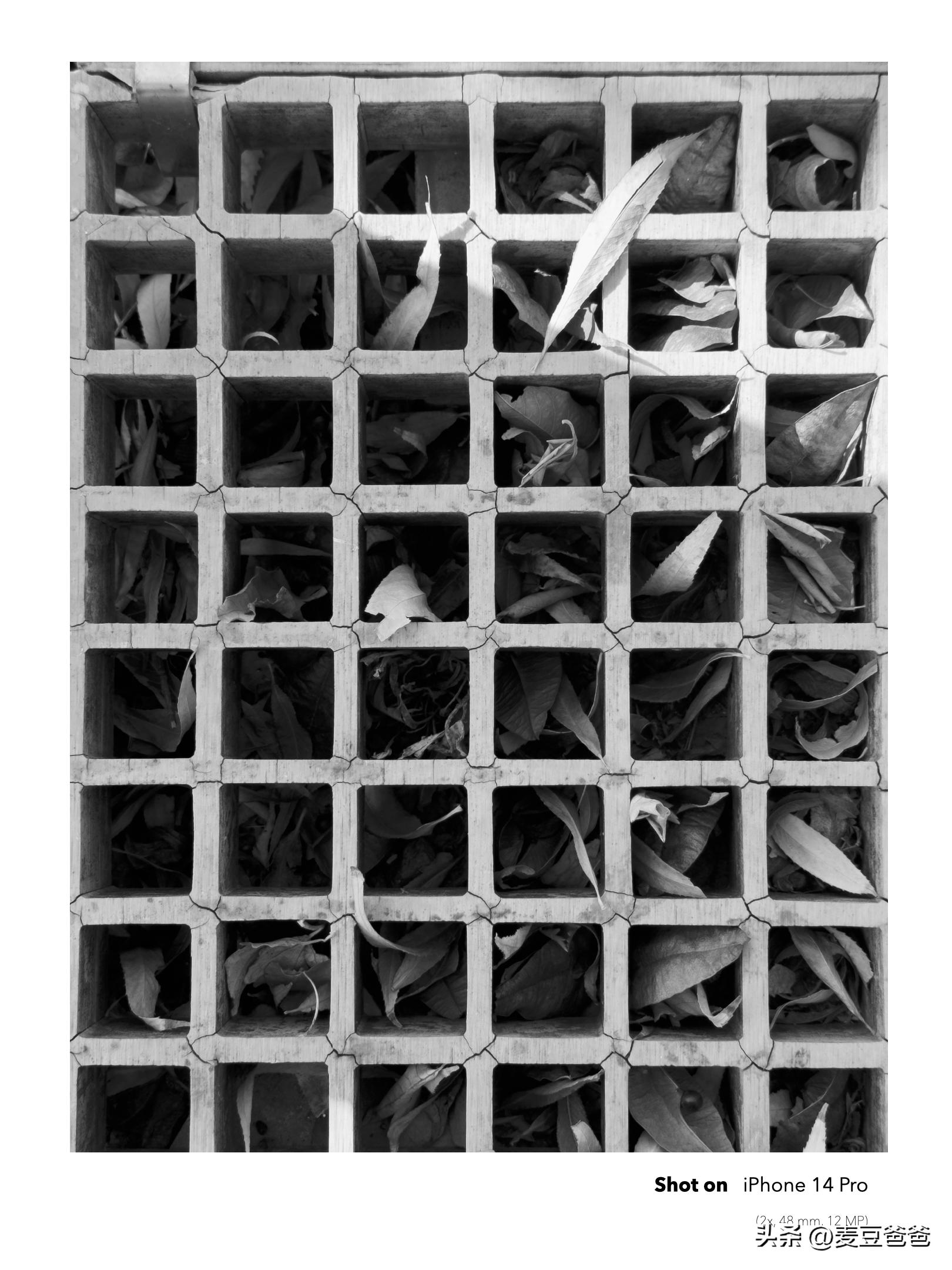 如何利用苹果14手机拍高清图片,iphone14如何拍出好看照片