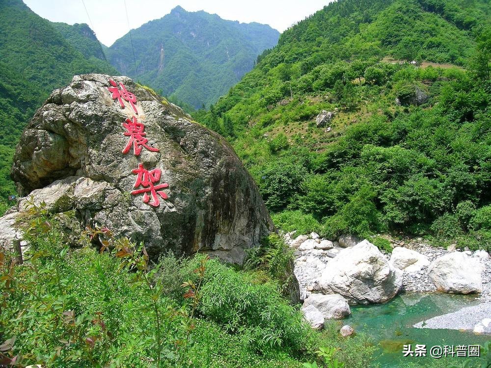 神农架深处为何被列为禁区进不去,神农架深处为何被列为禁区知乎