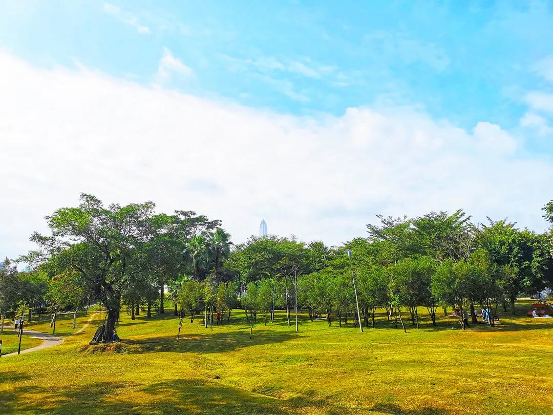 深圳福田区免费游玩攻略,福田哪些公园可以去玩