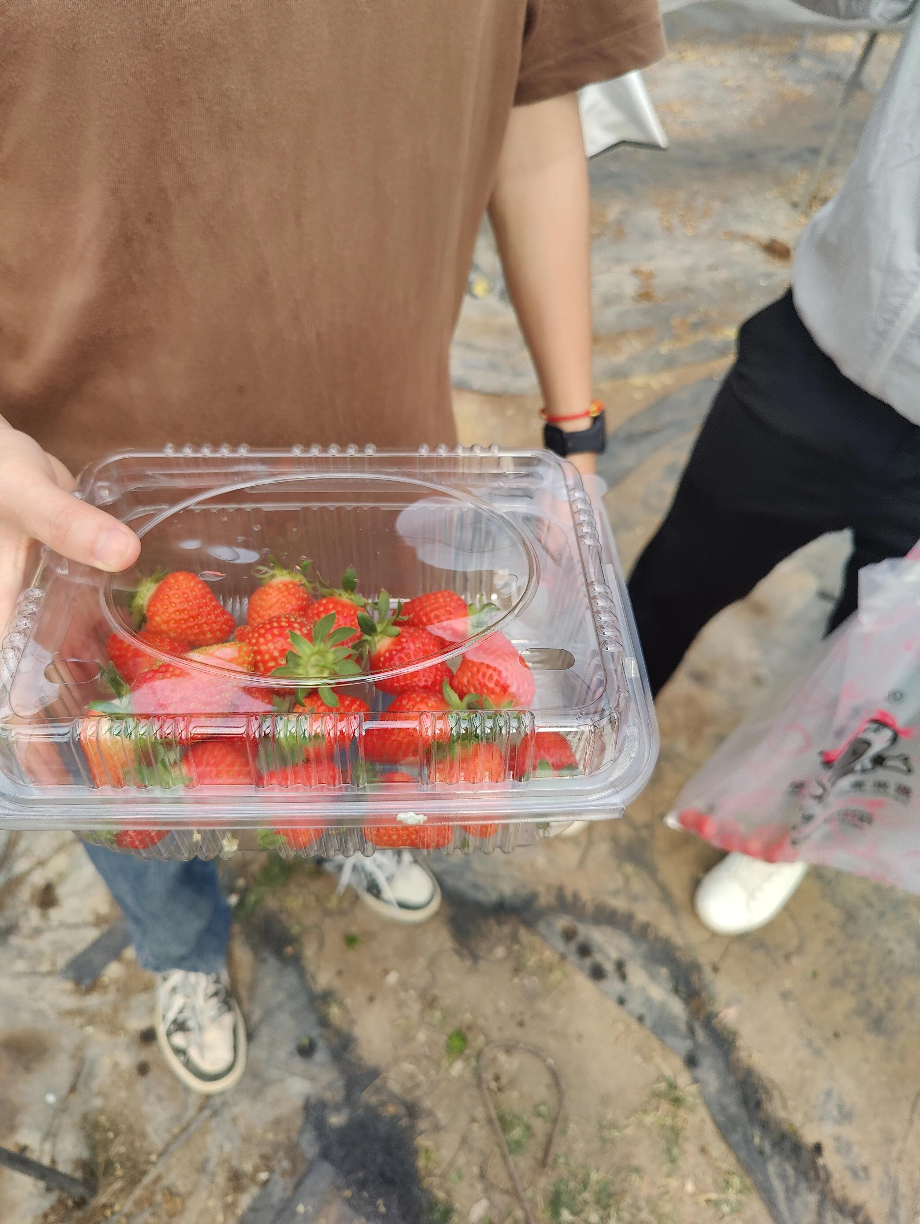 厦门王朝车友会——植树节活动之大帽山生态农场游记