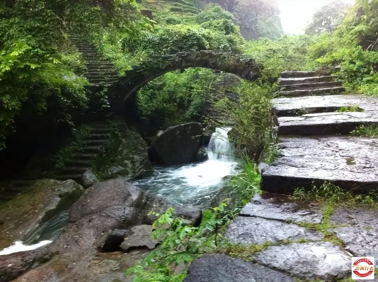 2023年2月11-19追风行者自驾永定土楼-鼓浪屿-九曲溪9日游招募中