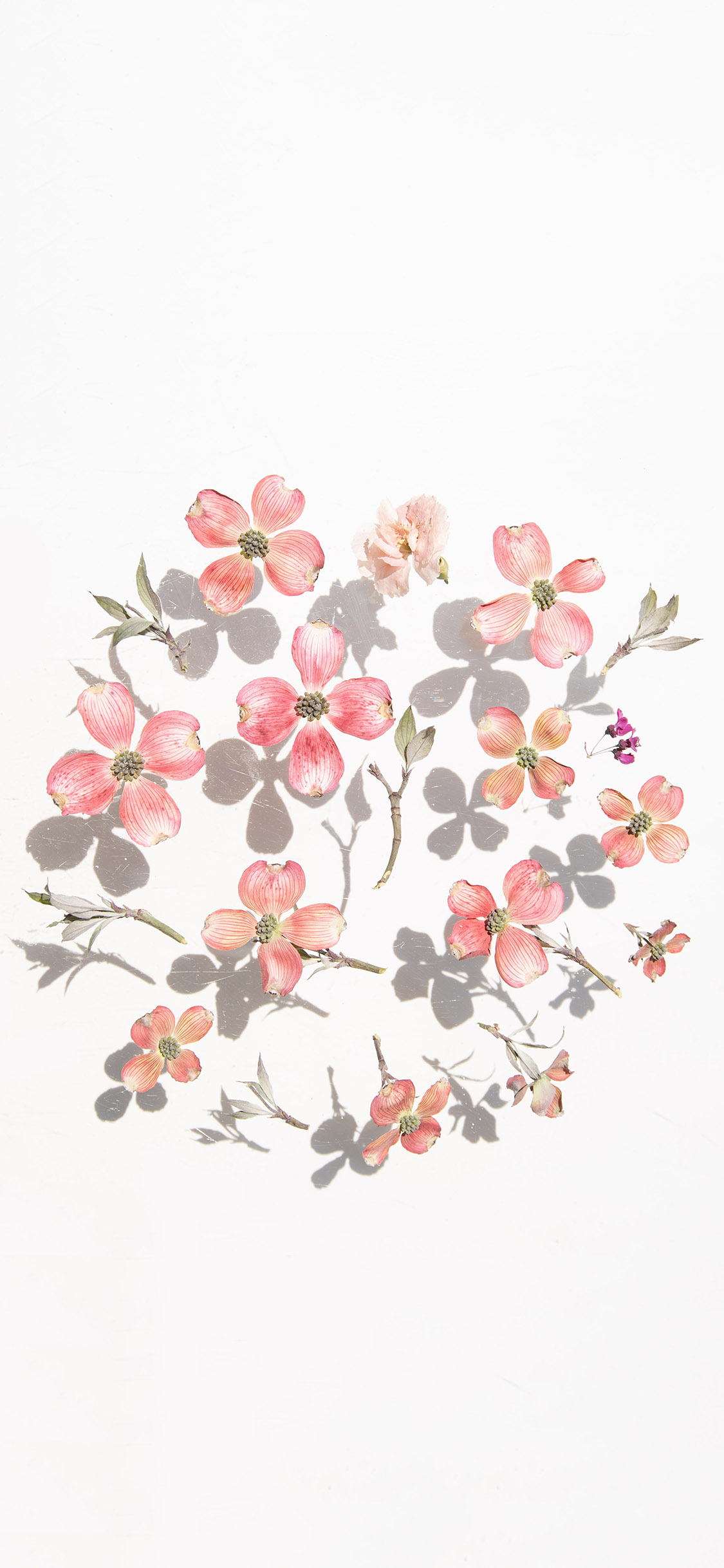 2023年手机壁纸,2023年最新款超清手机壁纸