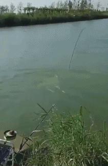 张三垂钓中鱼不得记