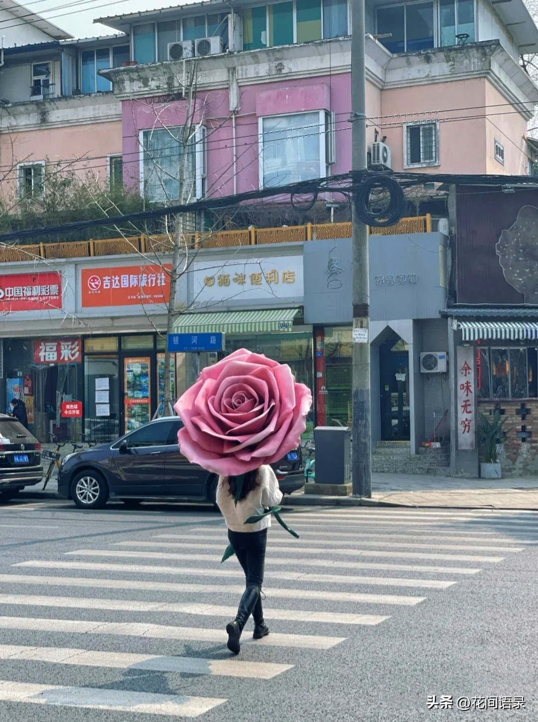 成都小伙送女友“巨型玫瑰花”告白，浪漫又搞笑，网友：这爱够沉