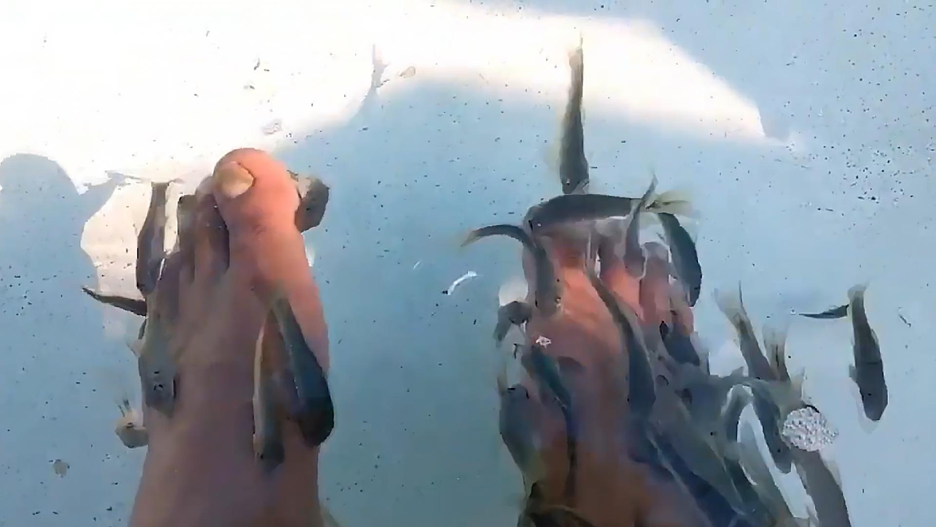 足疗店的小鱼最后去了哪儿,足疗店的小鱼能吃吗