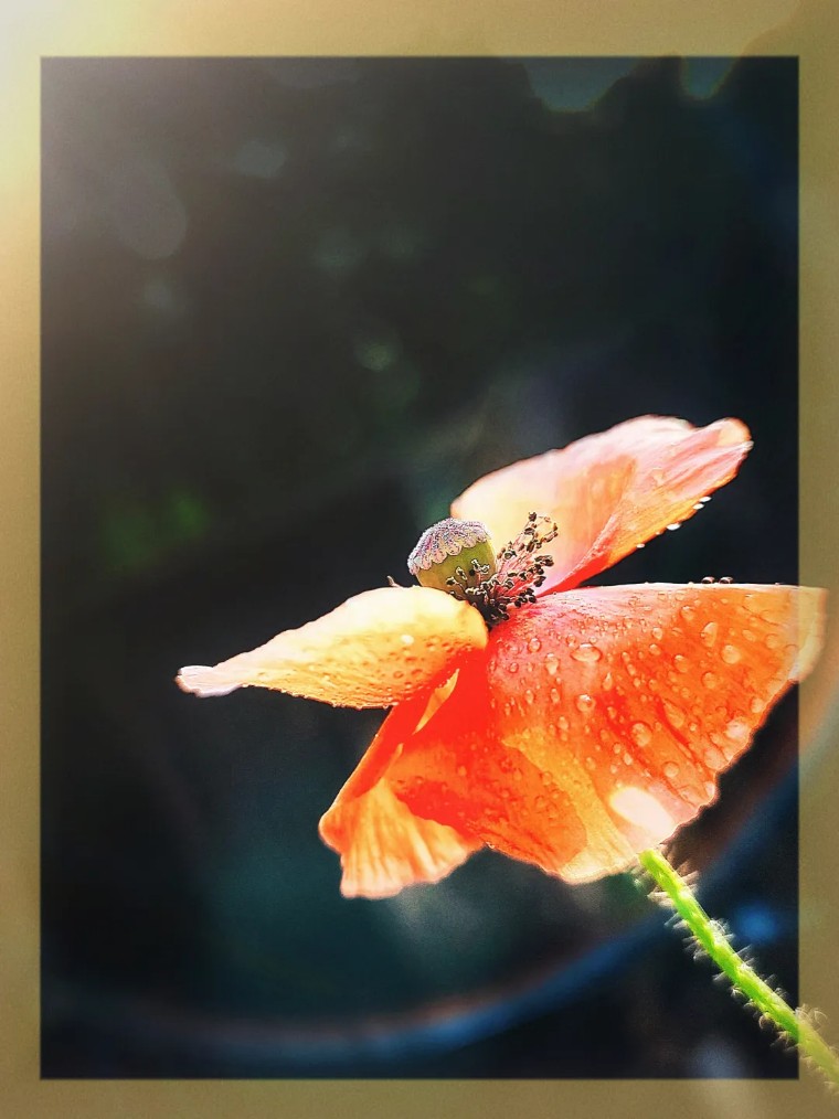 摄影图片二次构图,一张照片二次构图就会眼前一亮