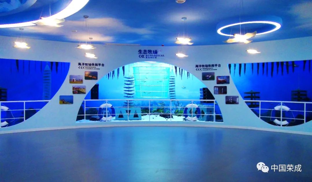 2023鑽ｆ垚鏂囨梾娲诲姩,鑽ｆ垚鐗圭鍏典竴鏃ユ父