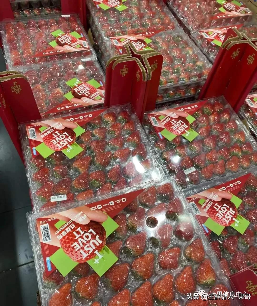 在水果中浆果是分哪几种,水果分类浆果