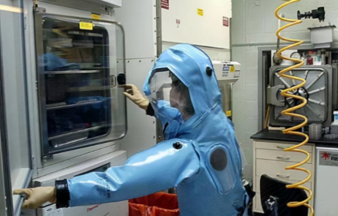 美国研究蝙蝠冠状病毒视频,美国研究蝙蝠状病毒