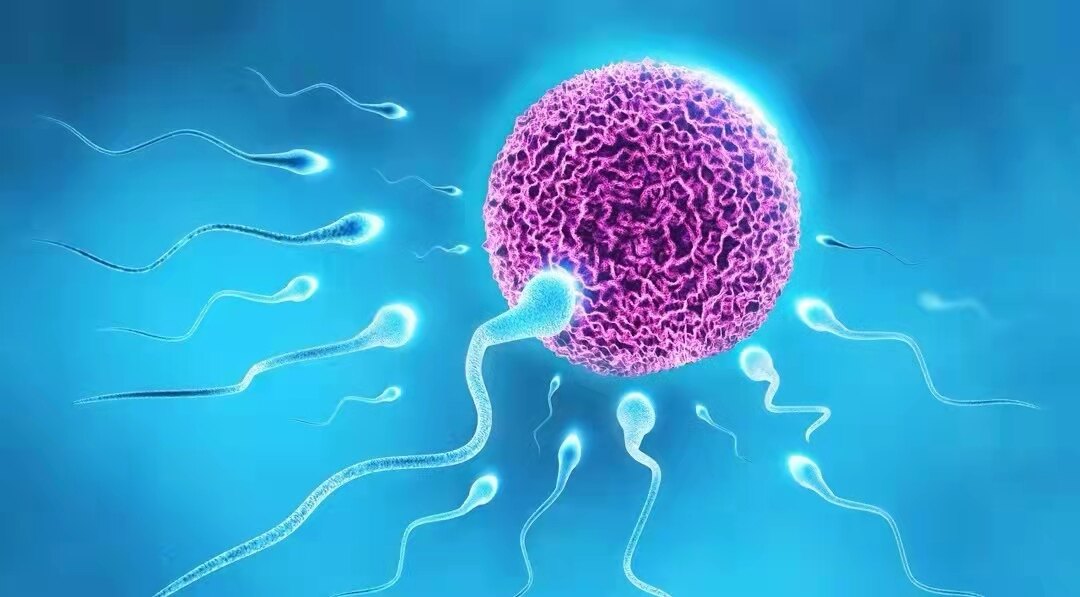 前列腺常规检查报告单正常,前列腺核磁共振报告单怎么解读